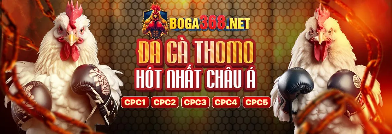 Thu thập thông tin an toàn tại q68bet