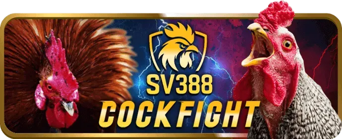 Liên hệ hỗ trợ q68bet về chính sách bảo mật